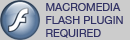 GET MACROMEDIA FLASH PLAYER